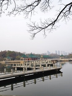 湖畔风景