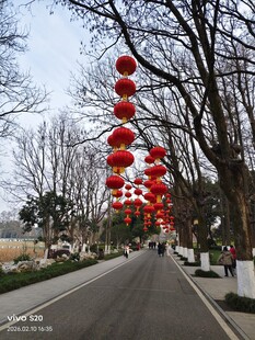街道红灯笼