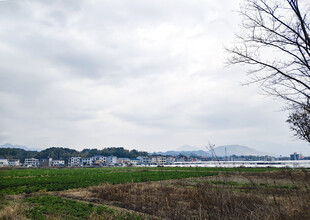郊外旷野风景