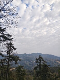山林云海间的自然景致