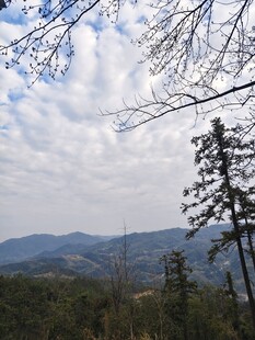 山林云端景致