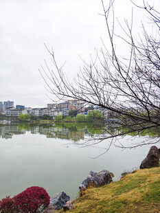 湖畔风光 宁静春日景致