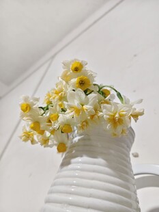 白色花瓶中的清新小花