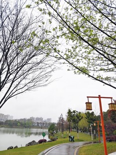 湖畔林荫小道春日景致