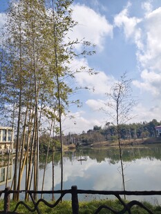 湖畔绿树蓝天