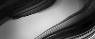 黑白飘逸线条抽象背景图