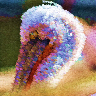 梦幻色彩的抽象花朵图案