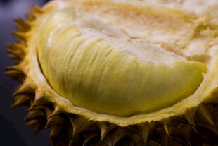 切开的鲜榴莲果肉