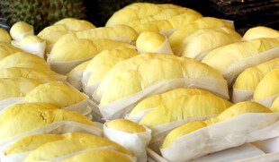 新鲜剥开的榴莲果肉