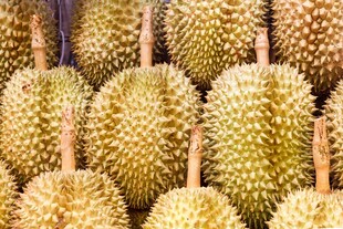 整齐排列的新鲜榴莲