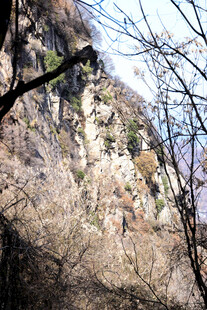 山间岩壁与稀疏树木景观
