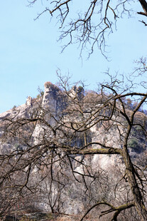 山巅城堡与枯树枝景