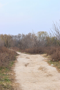 乡间土路