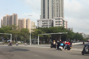 湛江城市路口骑行场景