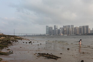 湛江海滨城市滩涂处的风景