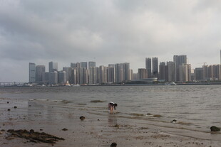 湛江海滨城市天际线景观