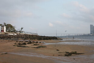 湛江海滨风光 沙滩与远处建筑
