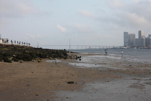 湛江海滨城市沙滩风光