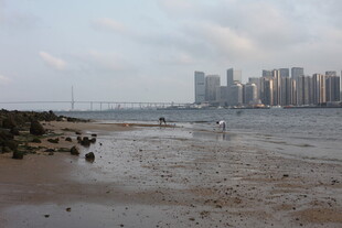 湛江海滨城市远景与滩涂景致