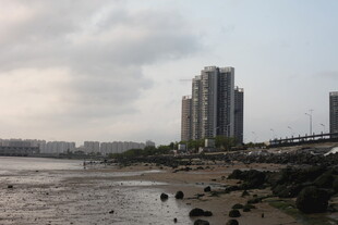 湛江江边高楼景观