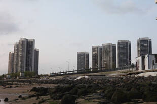 湛江城市高楼与自然景观