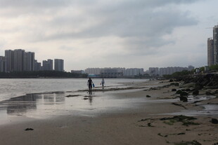 湛江城市岸边的静谧水域景象