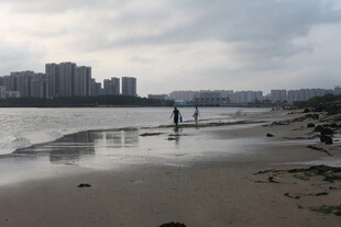 湛江海边漫步的静谧时刻