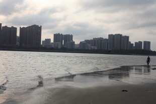 湛江城市水边景色与飞翔海鸥