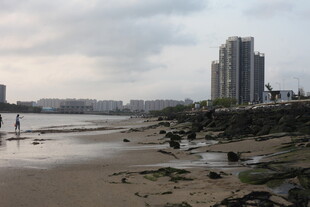 湛江海滨城市的沙滩与高楼