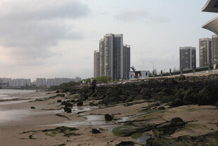湛江城市江边滩涂与高楼景观