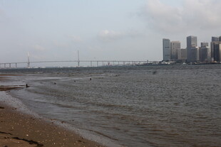 湛江海滨城市风光与跨海大桥