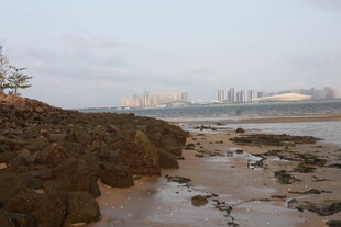 湛江海边礁石风景