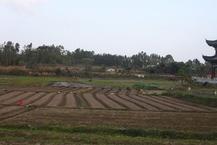 湛江田园风光中的古朴建筑