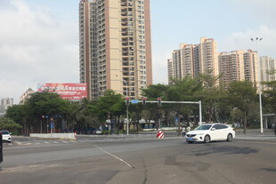 湛江城市街道中的车辆与高楼