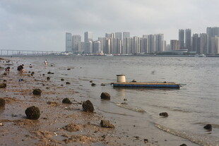 湛江江边小船与城市天际线