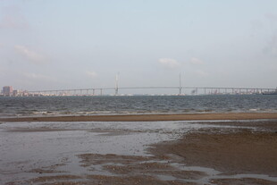 湛江江边滩涂远景