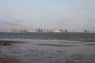 湛江海滨城市远景风光