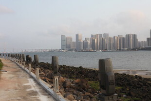 湛江海滨城市风光 近景远景交融