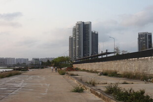 湛江城郊荒废空地与高楼远景
