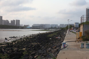 湛江江边步道风景