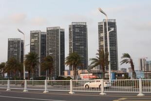 湛江城市高楼与街边棕榈树景观