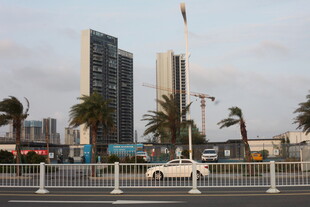 湛江城市街景中的高楼与棕榈树