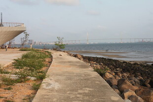 湛江海边步道风景