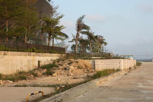 湛江海岸边的破损防护设施