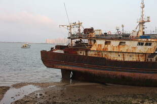 湛江岸边搁浅的老旧船只