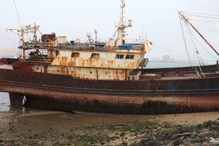 湛江搁浅的老旧船只