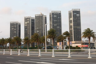 湛江城市高楼与街边棕榈树景观