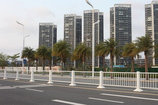 湛江城市道路旁的现代高楼景观