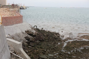 湛江海边岸滩景象