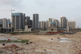 湛江城市中待开发的空地景观